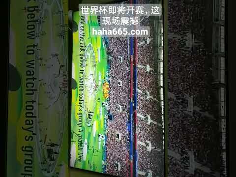 重庆,冠军赛,乒乓球颁奖,博彩投注,体育投注,在线博彩,体育博彩,投注平台,体育投注赔率,实时赛事投注