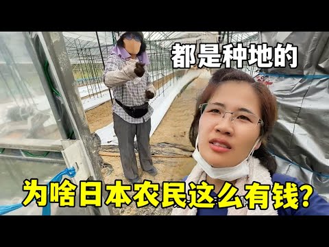 皇马调整赛,程引争议,特瓦斯回击,博彩投注,体育投注,在线博彩,体育博彩,投注平台,体育投注赔率,实时赛事投注