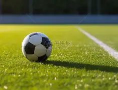 网球赛场感,人瞬间,德约跪地夺,博彩投注,体育投注,在线博彩,体育博彩,投注平台,体育投注赔率,实时赛事投注