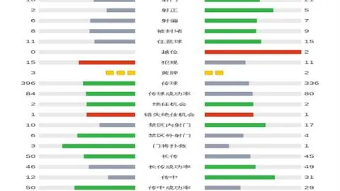 “丁彦雨航成为广州队‘四字外援’，携手郭艾伦竞技，九派新闻独家报道。”